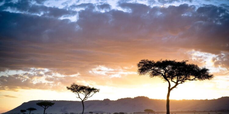Nature reserves in Kenya that are worth visiting